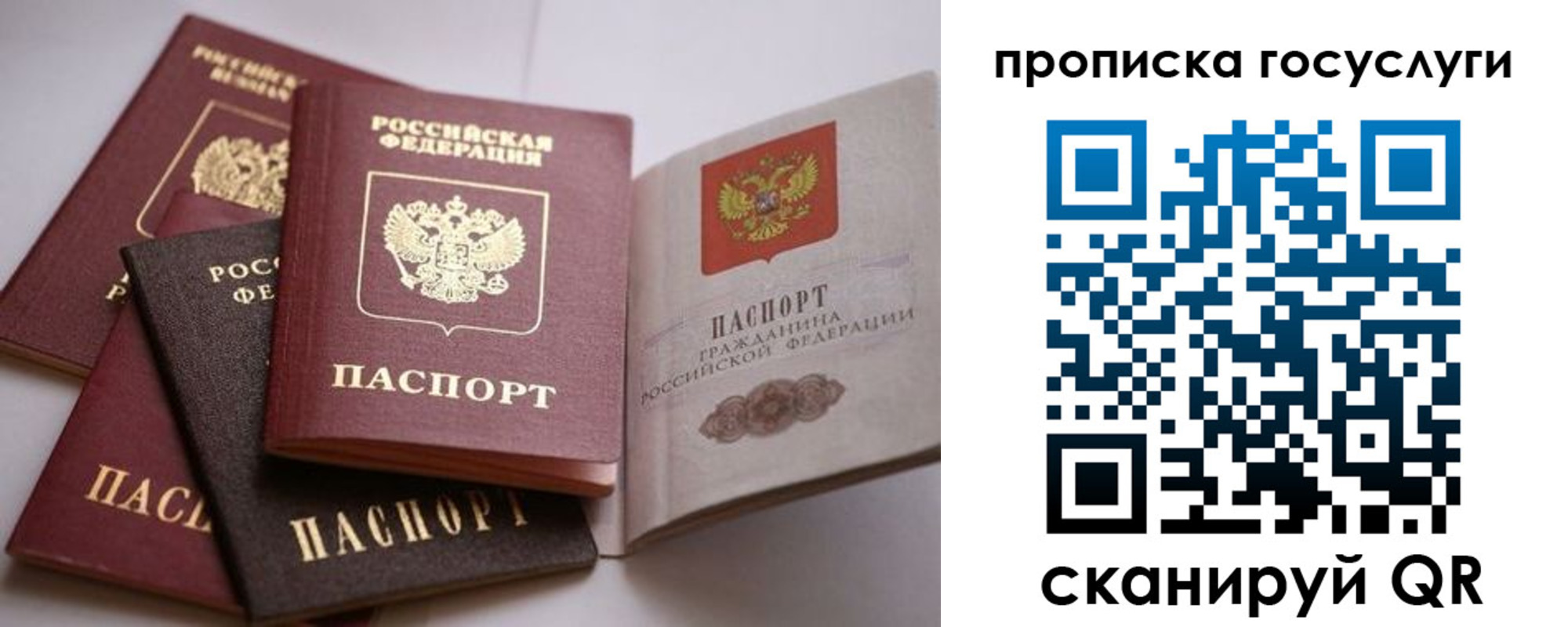 купить прописку в Красном Сулине